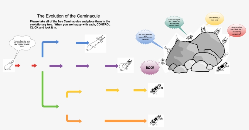 Untitled The Evolution Of The Caminacule Please Take - Diagram, transparent png download