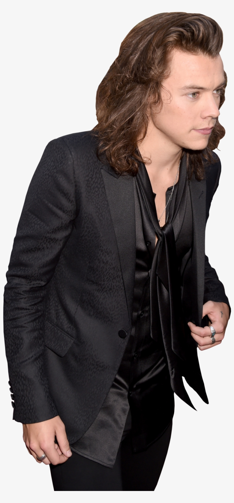 Png Pngs Hq Harry Styles Harry Styles Png Harry Styles - ストレッチバックサテンミリタリーシャツ【公式/ナノ・ユニバース】, transparent png download