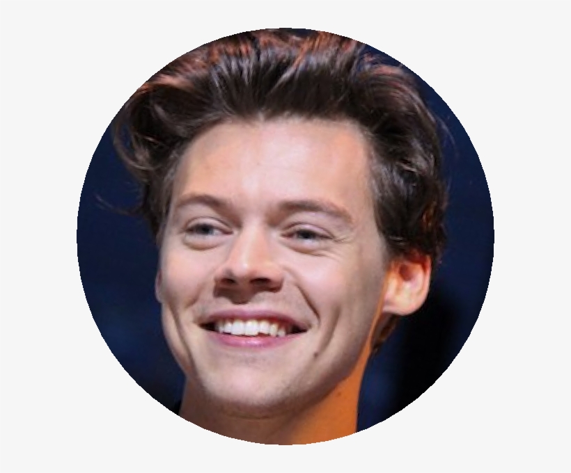 Harrystyles - Peter-philipp Staemmler, transparent png download