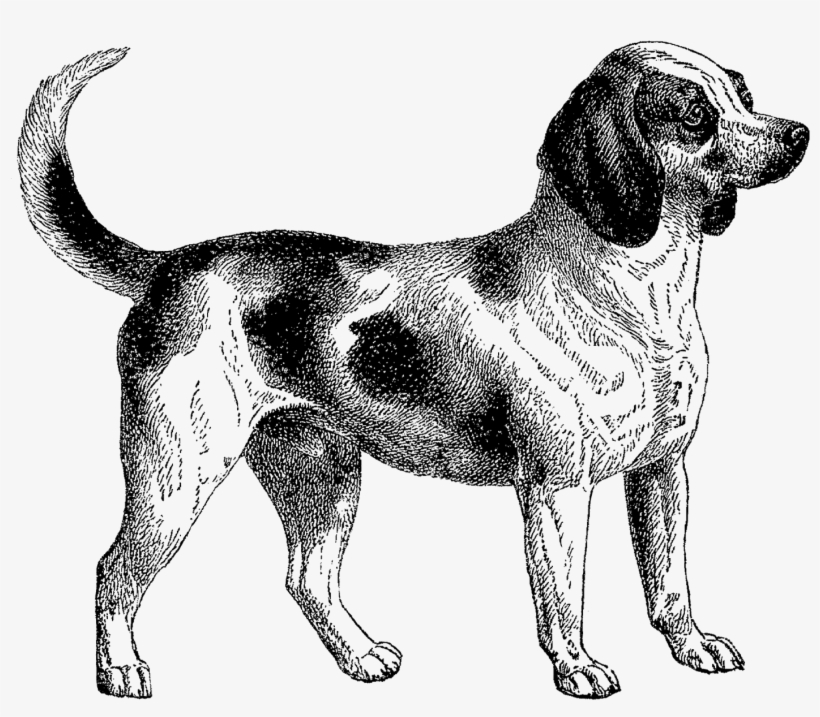 Svg Transparent Stock Dogpng Png Dogs Pinterest - Building Tools With Github By Chris Dawson, transparent png download