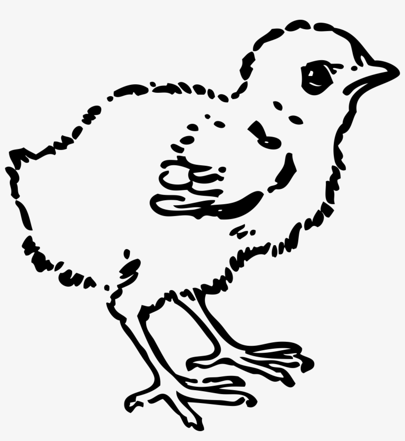 This Free Icons Png Design Of Baby Chick, transparent png download