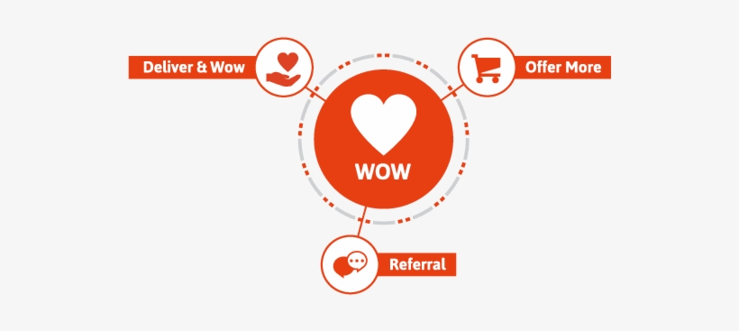 Lifecycle Marketing - Wow - Lifecycle Marketing, transparent png download