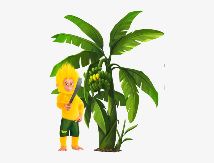 Yellow Banana Plantations, transparent png download