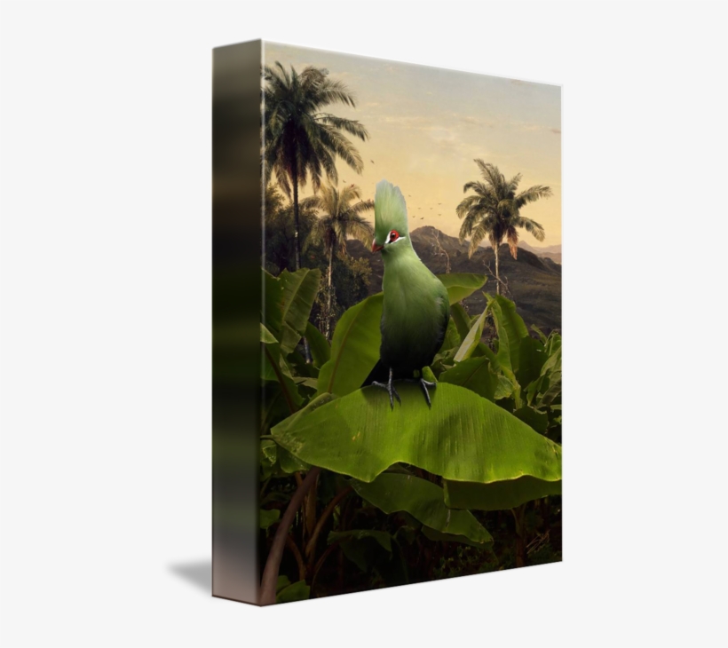 "green Turaco On Banana Tree" By I - Parakeet, transparent png download