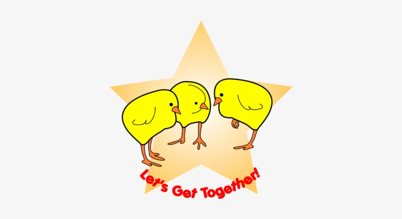 Baby Chicks Clip Art - Cartoon, transparent png download