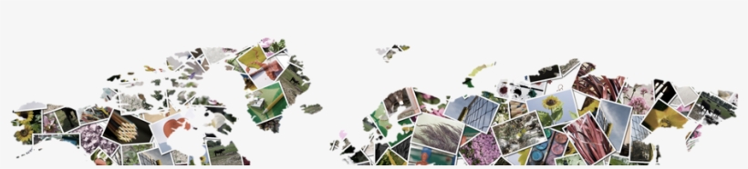 Map-top - Collage Mapas Del Mundo, transparent png download