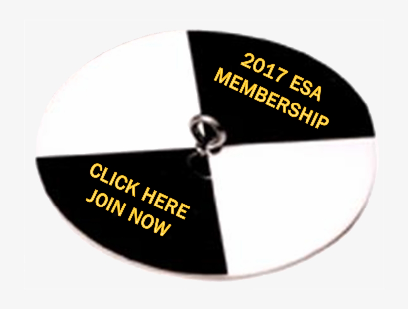 Join Button Transparent - Costco Membership Card, transparent png download