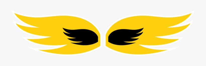 We Are Not Just A Co-ed Sports League - Bird Of Prey, transparent png download