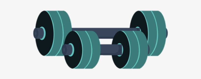Sports - Materials And Equipment In Physical Fitness, transparent png download