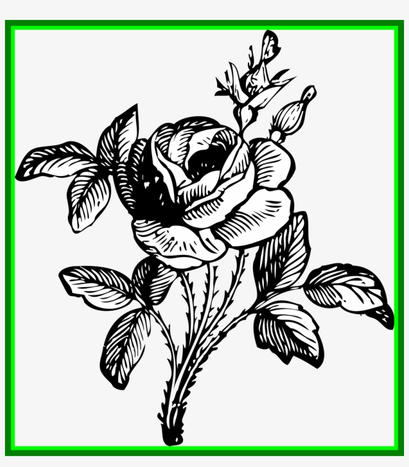 Graphic Transparent Library Stunning Of In Black - Flower Bouquet Black And White, transparent png download