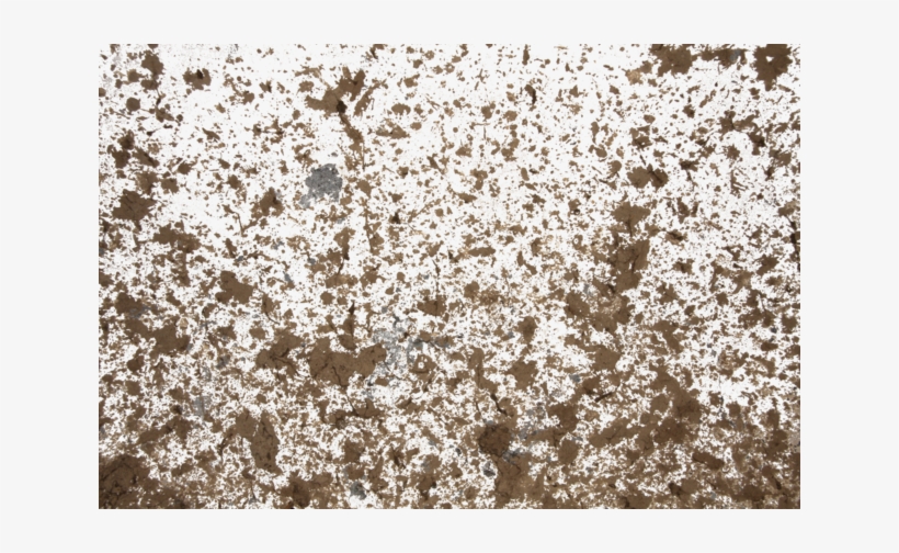 Dirty Decals - Spirea, transparent png download