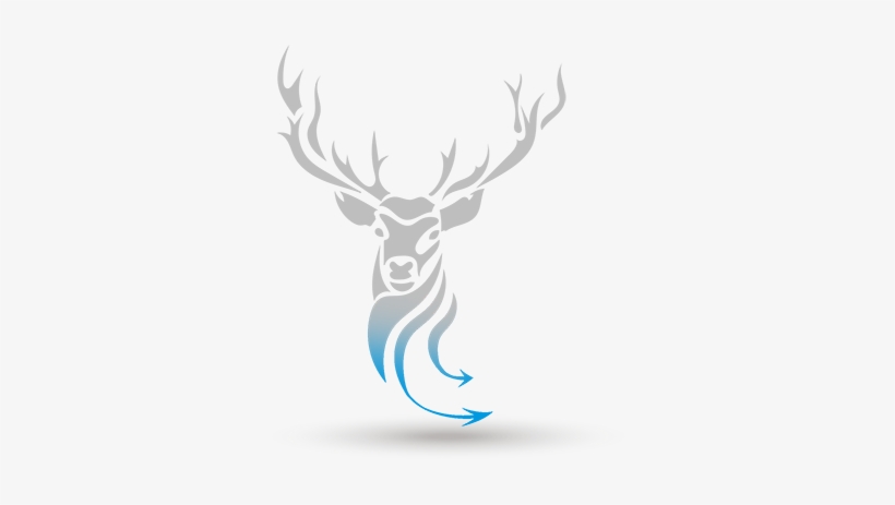 Click A State To Get News Regulations Contact Information - M H James, transparent png download