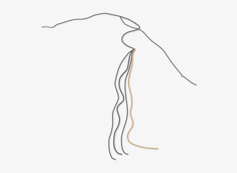 Images Consisting Of Orange Lines On A Transparent - Sketch, transparent png download