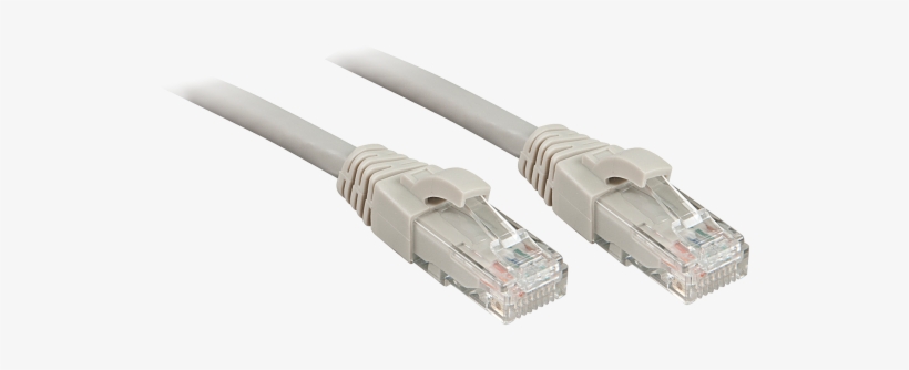 Ethernet Cables - Gadgets365 - Lindy Patch Cable - Cat 6 - Unshielded Twisted Pair, transparent png download