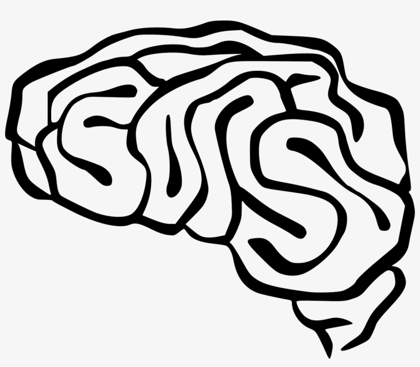 Brain Clip Art Free Vector 4vector - Brain Clip Art, transparent png download