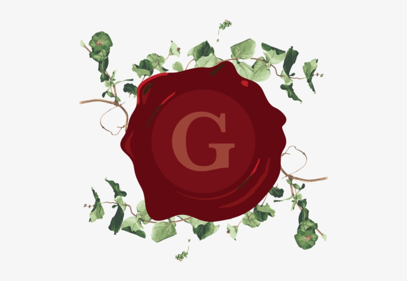 Galiano Wine - Chevre Feuille Dessin Botanique, transparent png download