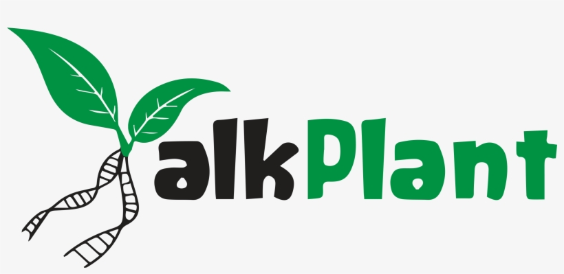 Talkplant - Physcomitrella, transparent png download