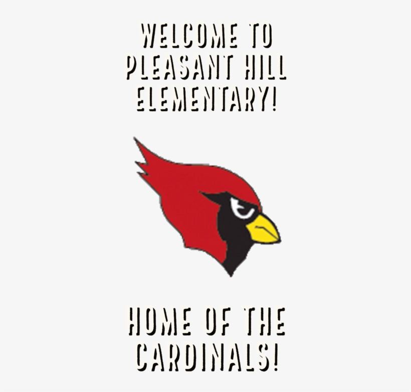 Search - Arizona Cardinals, transparent png download