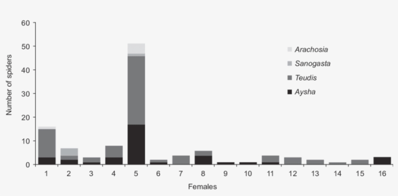 Composition Of Prey Items Of Females Of T - Diagram, transparent png download