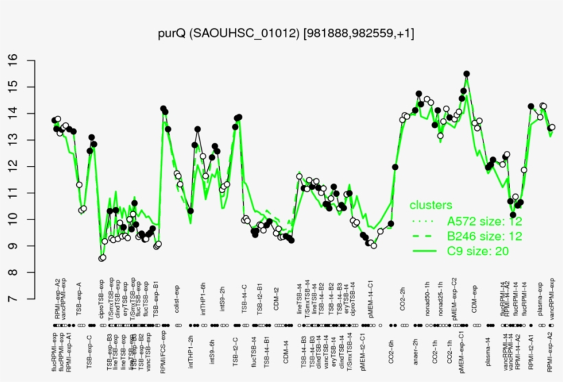 Expression Profile Of Segment Purq - Diagram, transparent png download