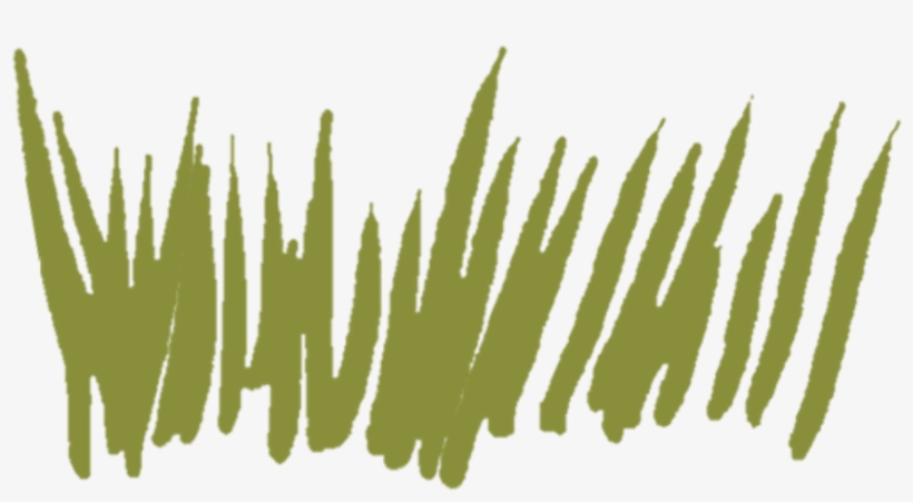 Shop Now - Grass, transparent png download