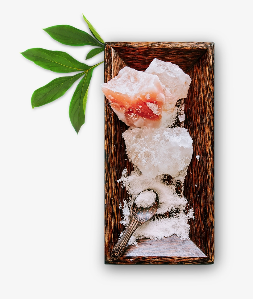 Home Page, transparent png download