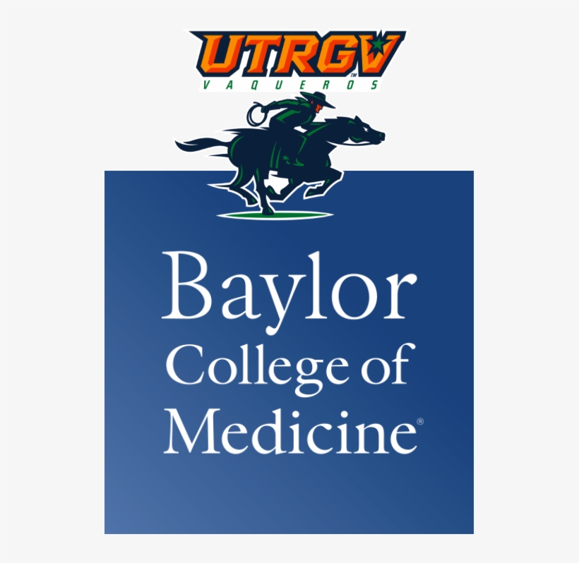 Opens In New Window - Dr Faisal H Cheema, transparent png download