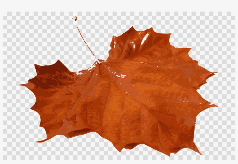 Leaf - Orange Leaves Real Png, transparent png download