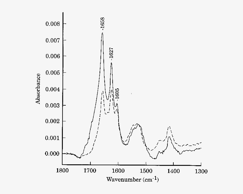 Ftir Spectra Of Poly L Glutamine Solid Line, Dry Sample - L Glutamine Atr Ir Spectra, transparent png download