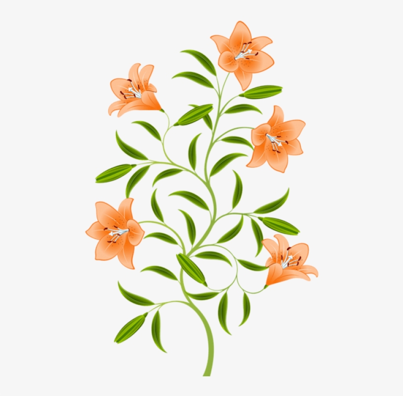 Free Png Download Orange Lily Png Images Background - Tiger Lily Flower Art, transparent png download