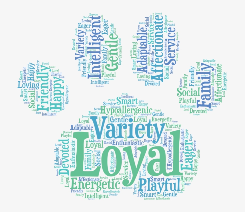 Aussiedoodle Word Art - Art, transparent png download