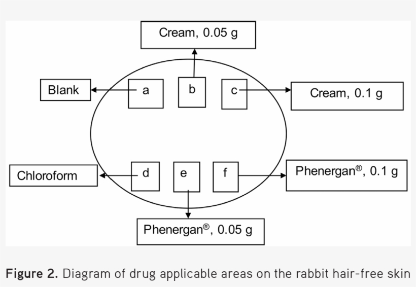 The Efficacy Test Ran For One Hour And The Time Until - Diagram, transparent png download