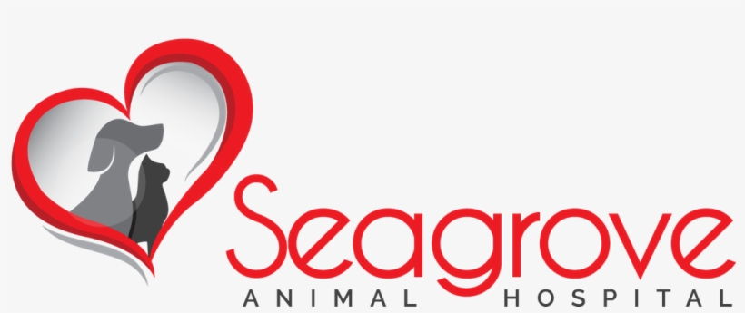 Our Services - Colorfulness, transparent png download