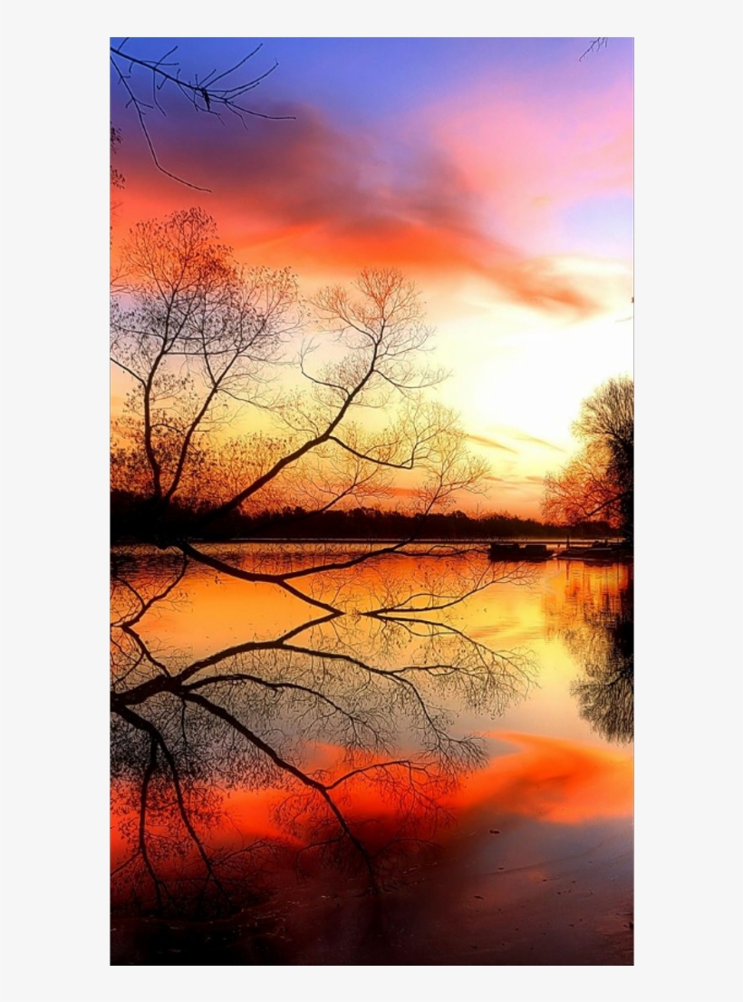 Sunset Trees Sky Clouds Nature Waterreflection Water - Chois Custom Wall Murals Wallpaper Desinger Home Art, transparent png download