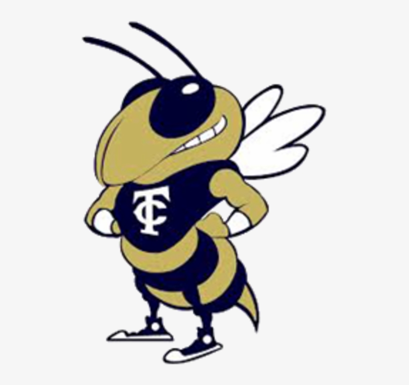 The New Hampstead Phoenix Vs, transparent png download