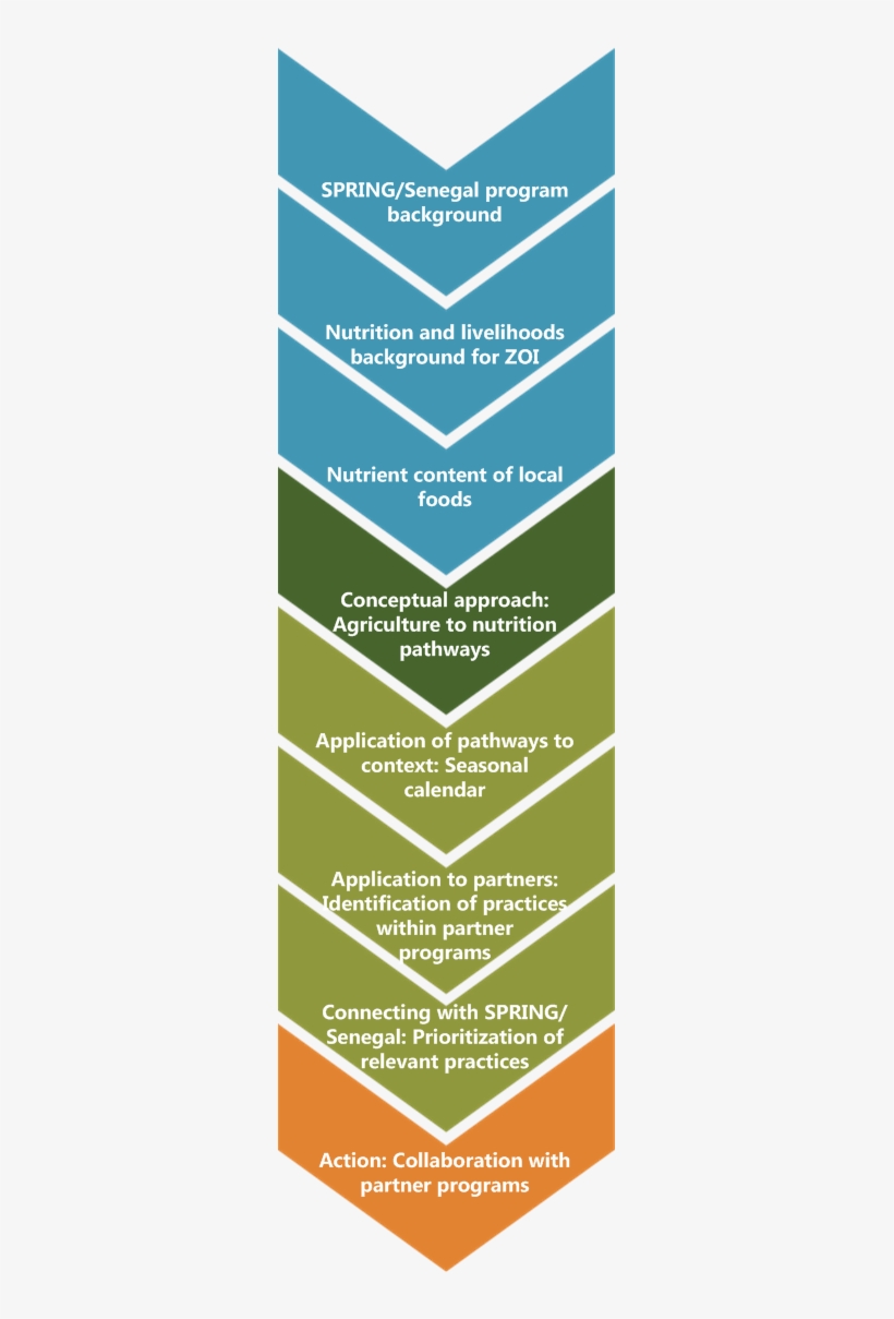 Overview Of Spring/senegal Workshop Process - Agriculture, transparent png download