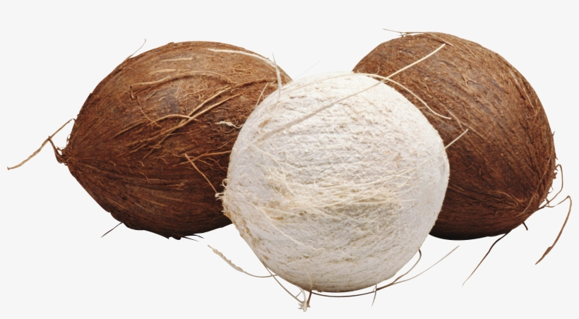 Coconut Icon Clipart - Coconut, transparent png download