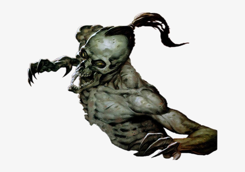 Skeleton-095 - Portable Network Graphics, transparent png download