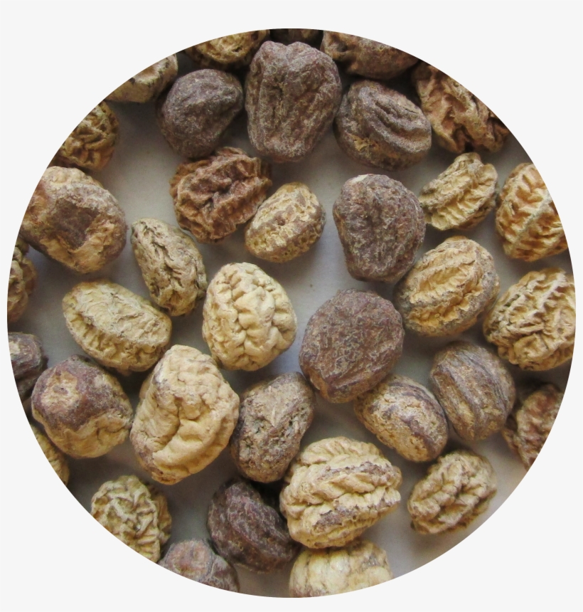 Tag For Alaska Nasturtium Mix Close-up Photo Of Nasturtium - Nasturtium, transparent png download