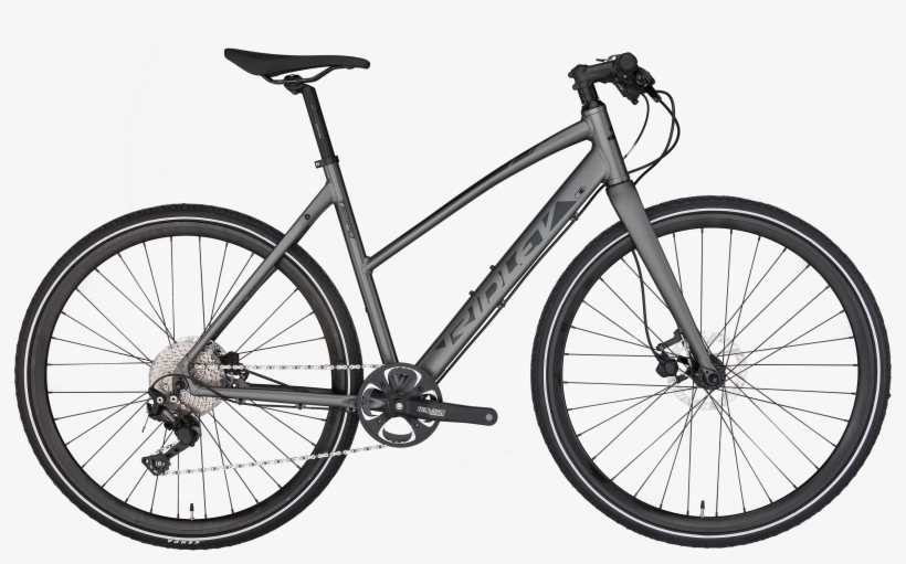 Pinarello Treviso Carbon Disk, transparent png download