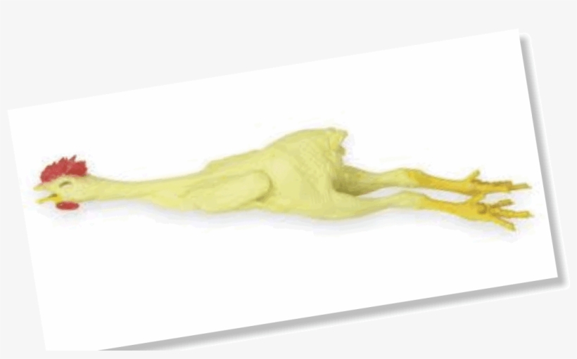 Rubber Chicken, transparent png download