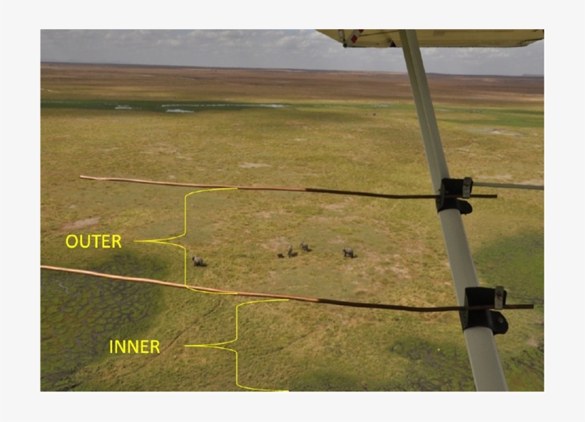 Position Of Steamers On The Wings Of An Aircraft - Grass, transparent png download