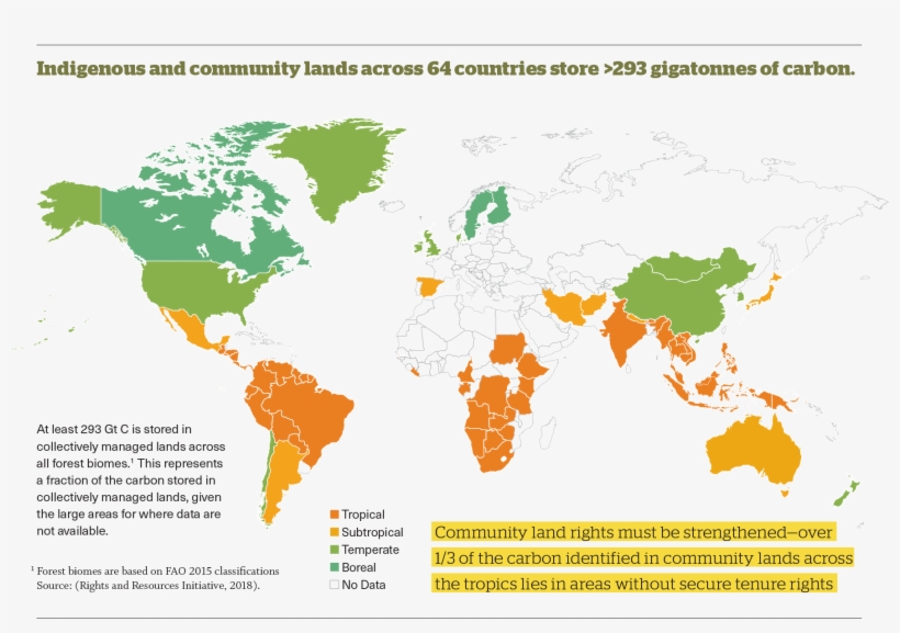 An Enormous Volume Of Carbon Is Protected In The Forests - Rise Of The Planet Of The Apes Map, transparent png download