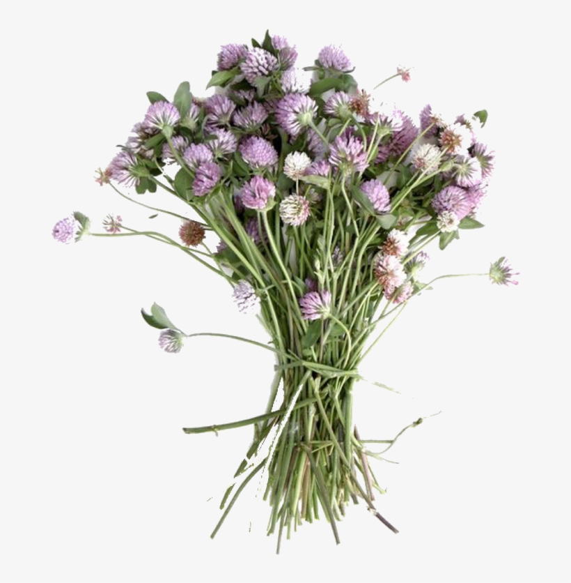 Pngs /like Or Reblog If Used/ - Bouquet, transparent png download