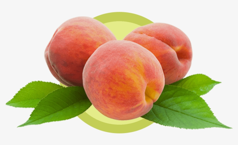Although Its Botanical Name Prunus Persica Suggests - Biofinest - Peach Fragrance Oil - 100% Fresh &, transparent png download