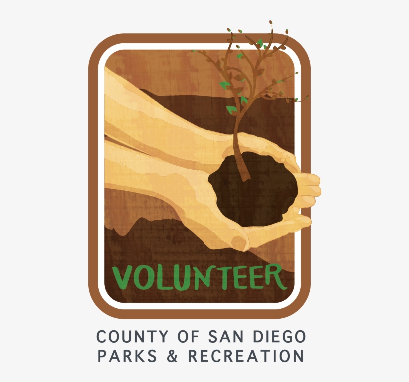 Hosts To Tree Planting And Trail Cleanup - Volunteering, transparent png download