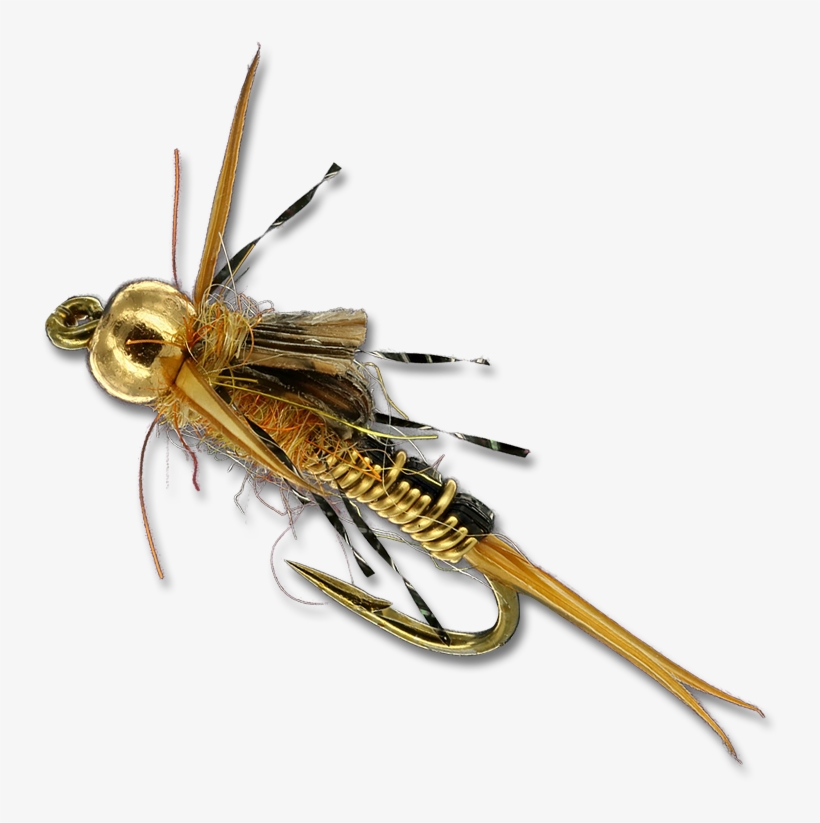 Morrish Iron Sally - Iron, transparent png download