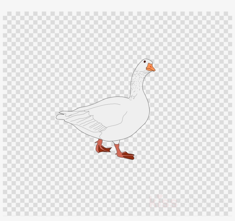 Top Hat With Transparent Background, transparent png download