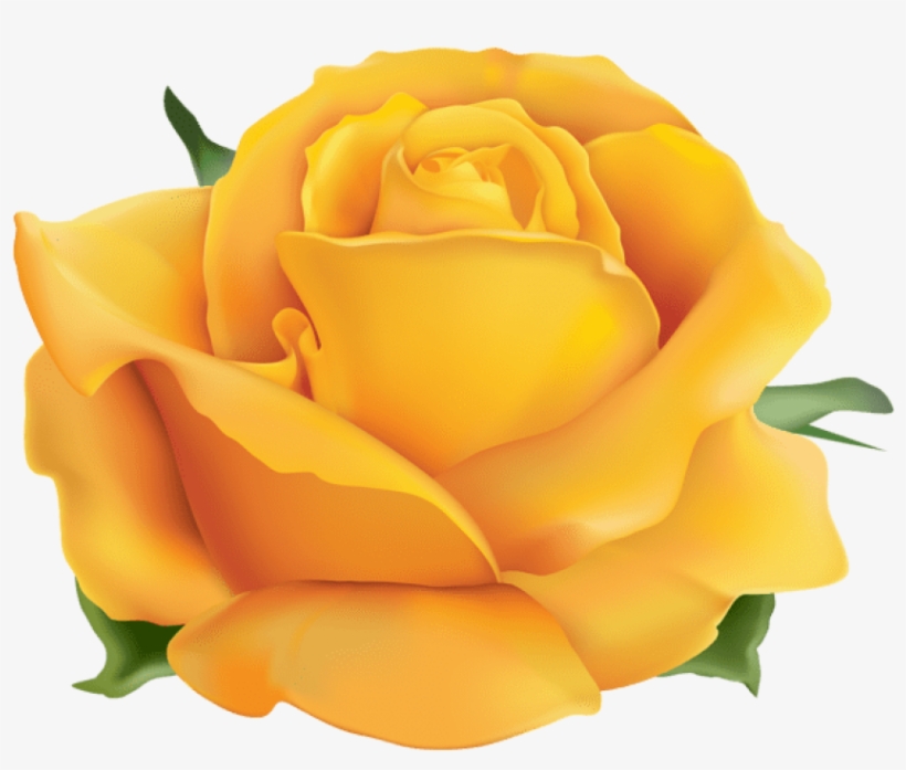 Free Png Yellow Rose Png Png Images Transparent, transparent png download