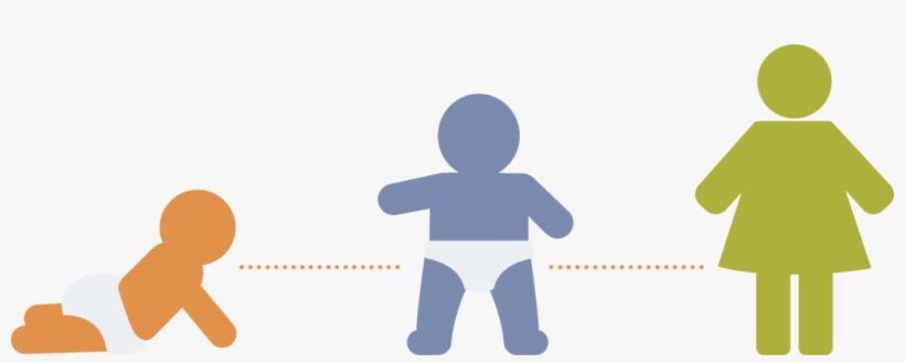 Babygrowingchart Rackcard - Infant, transparent png download